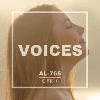 Al765