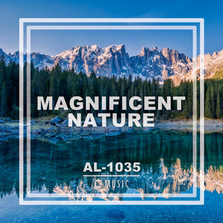 Al1035