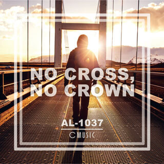 Al1037
